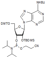 N6-Benzoyl-2’-O-tert-butyldimethylsilyl-5’-O-DMT-adenosine 3’-CE phosphoramidite