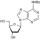 N6-Benzoyl-2’-deoxyadenosine