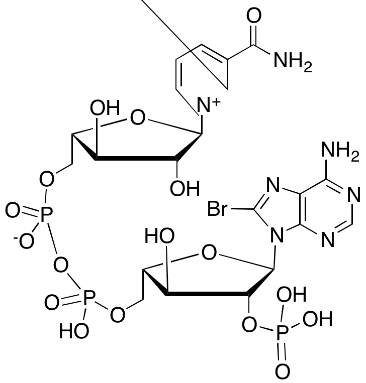 1-[(2R,3R,4R,5S)-5-<sup>[(<sup>[(2S,3S,4R,5R)-5-(6-Amino-8-bromo-9H-purin-9-yl)-3-hydroxy-4-(phosphonooxy)oxolan-2-yl]methoxy</sup>(hydroxy)phosphoryl phosphonato)oxy]methyl</sup>-3,4-dihydroxyoxolan-2-yl]-3-carbamoyl-1Î»âµ-pyridin-1-ylium