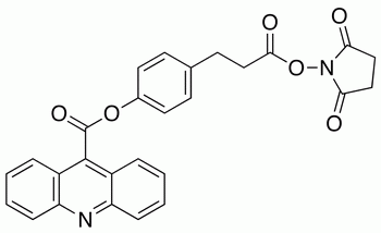 Desmethyl Acridinium NHS Ester