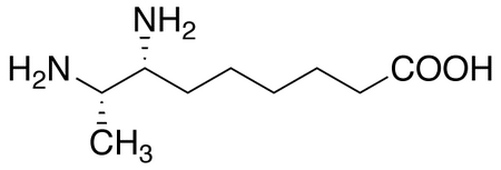 7,8-Diaminopelargonic Acid