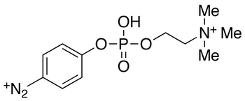 p-Diazonium Phenylphosphorylcholine