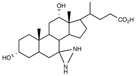 3a,12-α-Dihydroxy-7-diazirdinecholanic Acid