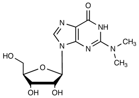2-(Dimethylamino)guanosine
