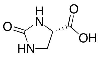 (4S)-2-oxoimidazolidine-4-carboxylic Acid