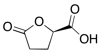 (R)-5-Oxotetrahydrofuran-2-carboxylic Acid