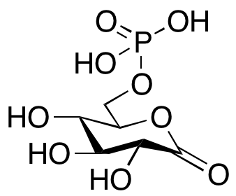 6-Phosphoglucono-Δ-lactone