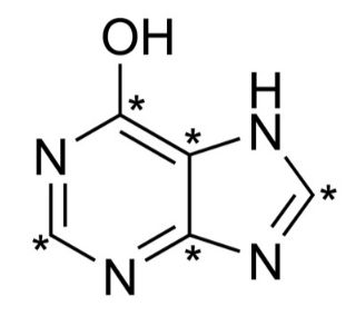 Hypoxanthine-<sup>13</sup>C<sub>5</sub>