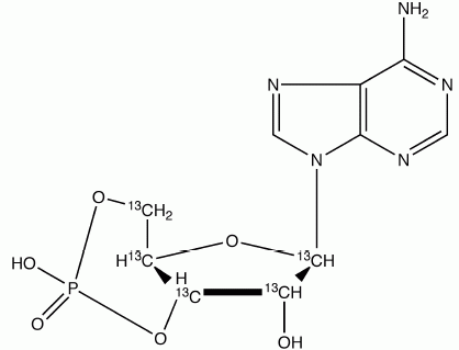 Adenosine-3’,5’-cyclic-<sup>13</sup>C<sub>5</sub> monophosphate 
