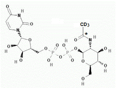 Uridine Diphosphate-N-acetylglucosamine-<sup>13</sup>C,d<sub>3</sub>