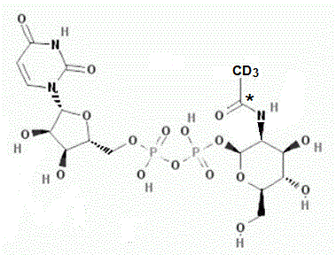 Uridine Diphosphate-N-acetylmannosamine-<sup>13</sup>C,d<sub>3</sub>
