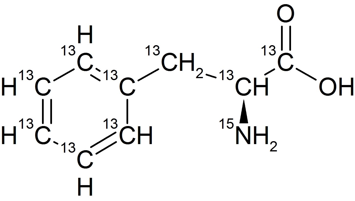 L-Phenylalanine-UL-<sup>13</sup>C<sub>9</sub>,<sup>15</sup>N