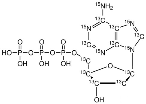 2’-Deoxyadenosine 5’-triphosphate-<sup>13</sup>C<sub>10</sub>,<sup>15</sup>N<sub>5</sub> (Li<sub>2</sub> salt)