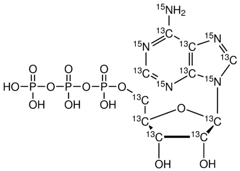 Adenosine 5’-triphosphate-<sup>13</sup>C<sub>10</sub>,<sup>15</sup>N<sub>5</sub> (Li<sub>2</sub> salt)