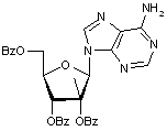  6-Amino-9-(2’,3’,5’-tri-O-benzoyl-2’-C-methyl-β-D-ribofuranosyl)purine