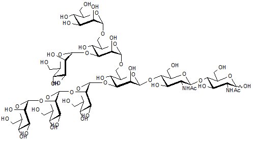 Man-7D1 N-Gl<sup>1 N-Glyca</sup>D<sub>1</sub> N-Glycan