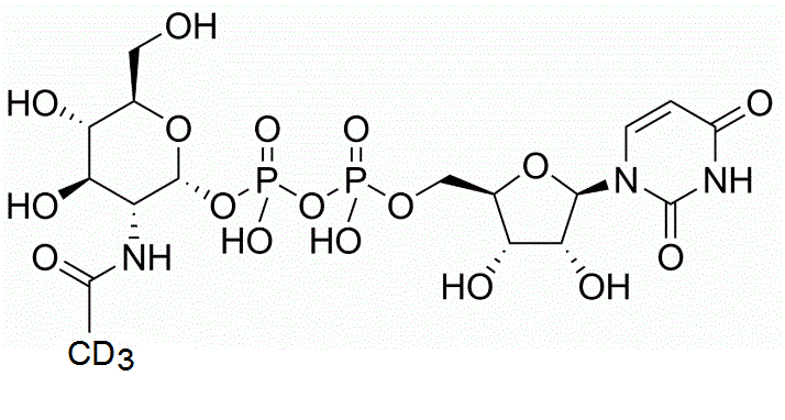 Uridine Diphosphate-N-acetylglucosamine-d<sub>3</sub>