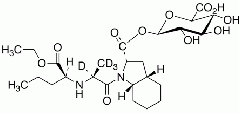 Perindopril-d<sub>4</sub> Acyl-β-D-glucuronide