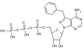 4-Amino-3-benzyl-1H-pyrazolo[3,4-d]pyrimidine 1-β-D-ribofuranosyl 5’-triphosphate