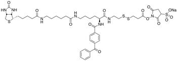 2-[N<sup>2</sup>-[Nα-Benzoylbenzoicamido-N<sup>6</sup>-6-biotinamidocaproyl]lysinylamido]ethyl-2’-(N-sulfosuccinimidylcarboxy)ethyl Disulfide Sodium Salt