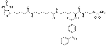 2-[Nα-Benzoylbenzoicamido-N<sup>6</sup>-(6-biotinamidocaproyl)-L-lysinylamido]ethyl Methanethiosulfonate