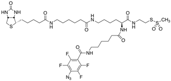 2-[N<sub>2</sub>-[N<sub>6</sub>-(4-Azido-2,3,5,6-tetrafluorobenzoyl)-6- aminocaproyl]-N<sub>6</sub>-(6-biotinamidocaproyl)-L -lysinylamido]ethyl Methanethiosulfonate