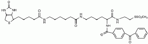 2-[Na-Benzoylbenzoicamido-N<sup>6</sup>-(6-biotinamidocaproyl)-L-lysinylamido]ethyl Methanethiosulfonate