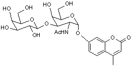 4-Methylumbelliferyl 2-acetamido-3-O-(b-D-galactopyranosyl)-α-D-galactopyranoside
