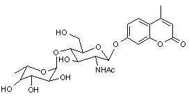 4-Methylumbelliferyl 2-acetamido-2-deoxy-4-O-(α-L-fucopyranosyl)-β-D-glucopyranoside