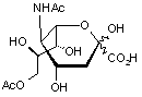 5-N-Acetyl-9-O-acetyl neuraminic acid