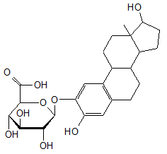 2-Hydroxyestradiol-2-O-β-D-glucuronide