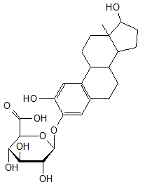 2-Hydroxyestradiol 3-O-β-D-glucuronide