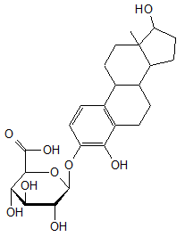 4-Hydroxyestradiol-3-O-β-D-glucuronide
