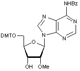 N6-Benzoyl-5’-O-DMT-2’-O-methyladenosine