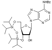 N6-Benzoyl-3’-5’-O-(1-1-3-3-tetraisopropyl-1-3-disiloxanediyl)adenosine