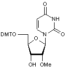 5’-O-DMT-2’-O-methyluridine