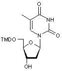 5’-O-DMT-thymidine