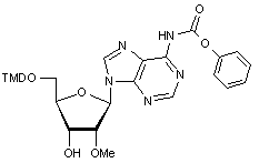 5’-O-DMT-2’-O-methyl-N6-phenoxyacetyladenosine