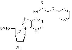 2’-Deoxy-5’-O-DMT-N6-phenoxyacetyladenosine