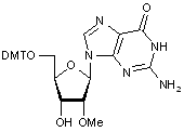 5’-O-DMT-2’-O-methylguanosine