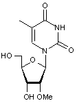 2’-O-Methyl-5-methyluridine