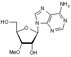 3’-O-Methyladenosine