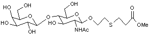 Carbomethoxyethylthioethyl 2-acetamido-2-deoxy-4-O-(b-D-galactopyranosyl)-β-D-glucopyranoside
