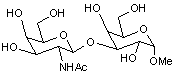 Methyl 3-O-(2-acetamido-2-deoxy-β-D-galactopyranosyl)-α-D-galactopyranoside
