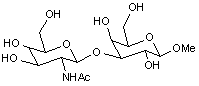 Methyl 3-O-(2-acetamido-2-deoxy-β-D-glucopyranosyl)-β-D-galactopyranoside