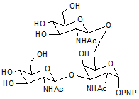 4-Nitrophenyl 2-acetamido-3-6-di-O-(2-acetamido-2-deoxy-β-D-glucopyranosyl)-2-deoxy-α-D-galactopyranoside