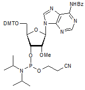 N6-Benzoyl-5’-O-DMT-2’-O-methyladenosine 3’-CE phosphoramidite