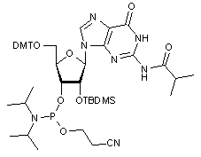 2’-O-tert-Butyldimethylsilyl-5’-O-DMT-N2-isobutyrylguanosine 3’-CE phosphoramidite