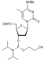 N4-Benzoyl-2’-deoxy-5’-O-DMT-5-methylcytidine 3’-CE phosphoramidite