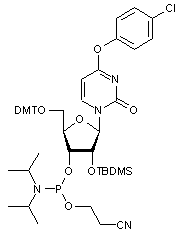 2’-O-tert-Butyldimethylsilyl-O<sub>4</sub>-(4-chlorophenyl)-5’-O-DMT-uridine 3’-CE-phosphoramidite